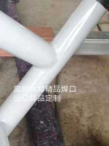 塑木健身路徑器材_石家莊施工現(xiàn)場